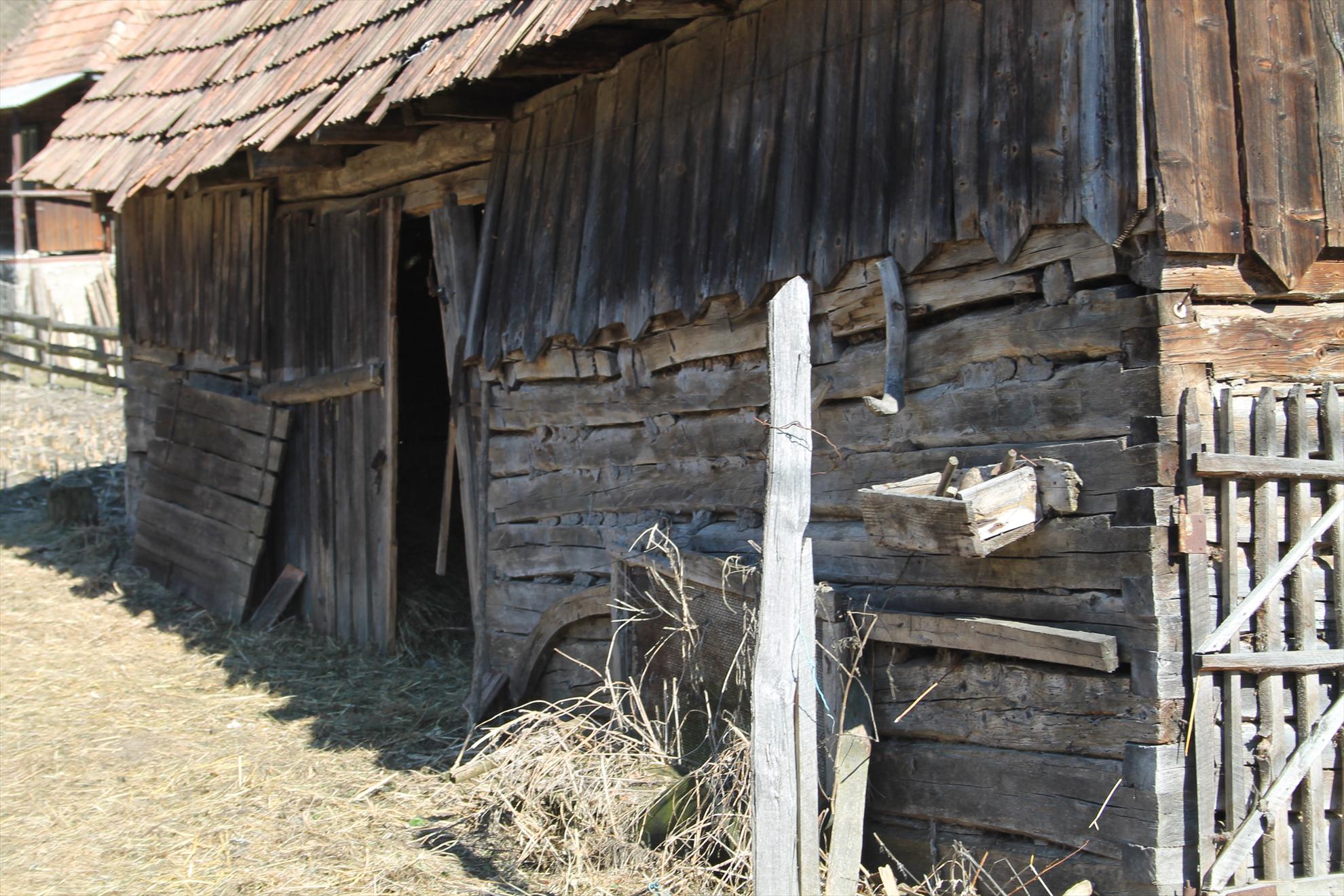 My new passion...1 - cabana-runcu-2521.JPG